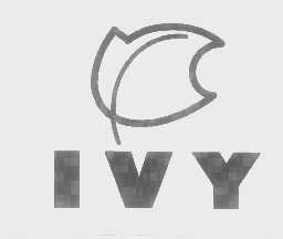 商标名称IVY商标注册号 1367687、商标申请人美藤药业有限公司的商标详情 - 标库网商标查询