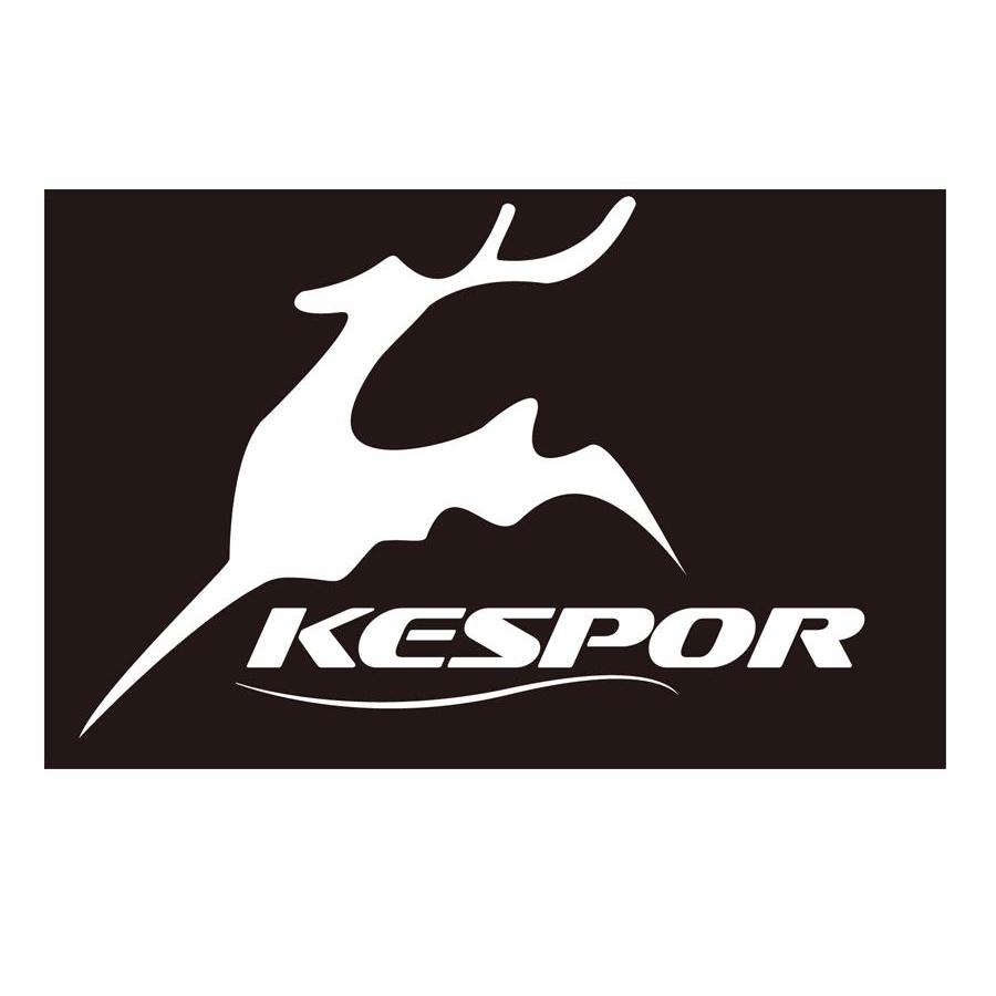 商标名称KESPOR商标注册号 11066348、商标申请人凯斯博国际集团有限公司的商标详情 - 标库网商标查询