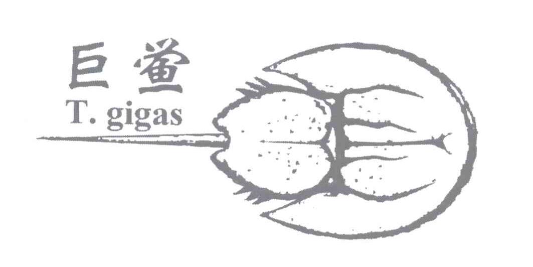 商标名称巨鲎 T.GIGAS商标注册号 12966355、商标申请人杨文钢的商标详情 - 标库网商标查询