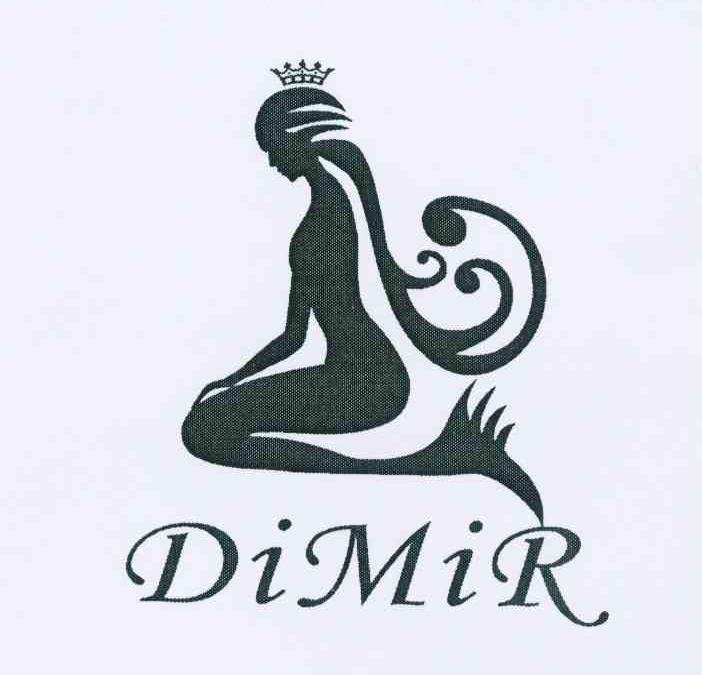 商标名称DIMIR商标注册号 10736793、商标申请人海安县金诺针织厂的商标详情 - 标库网商标查询