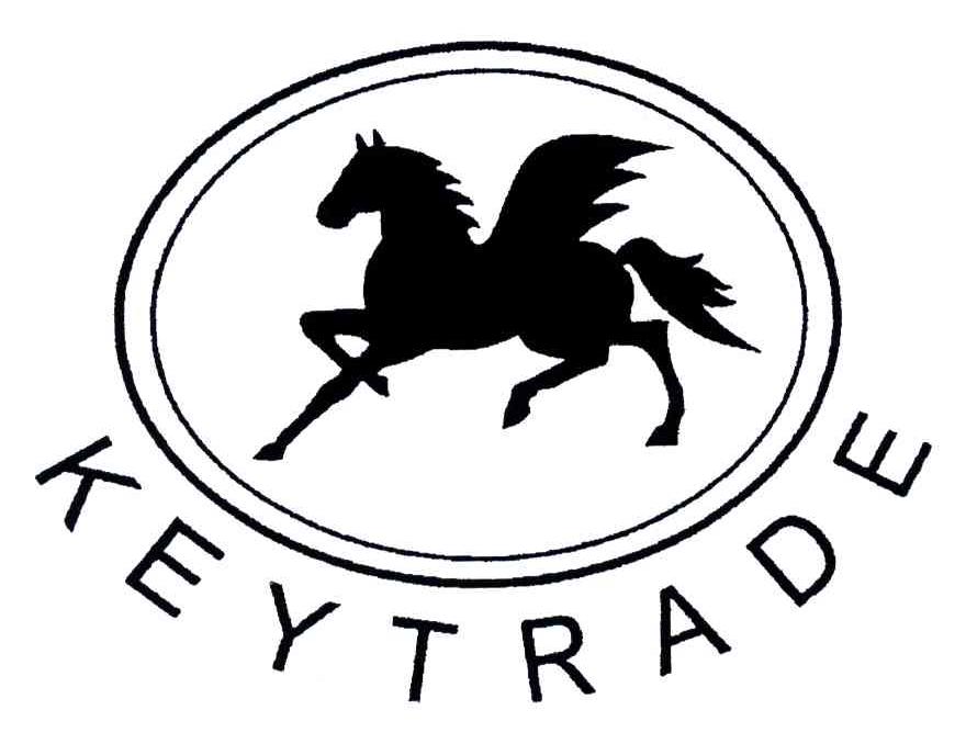 商标名称KEYTRADE商标注册号 4692776、商标申请人瑞士金键国际贸易公司的商标详情 - 标库网商标查询