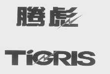 商标名称腾彪   TIGRIS商标注册号 1291101、商标申请人利邦有限公司的商标详情 - 标库网商标查询