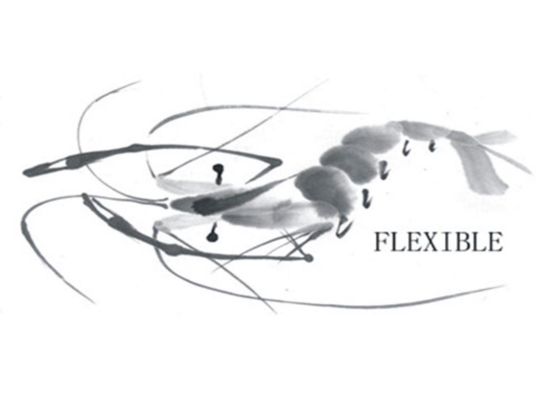 商标名称FLEXIBLE商标注册号 10299573、商标申请人常州聚才投资管理有限公司的商标详情 - 标库网商标查询
