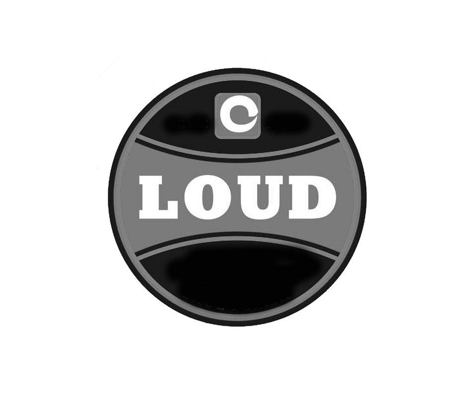商标名称LOUD商标注册号 10254790、商标申请人杨晓强的商标详情 - 标库网商标查询
