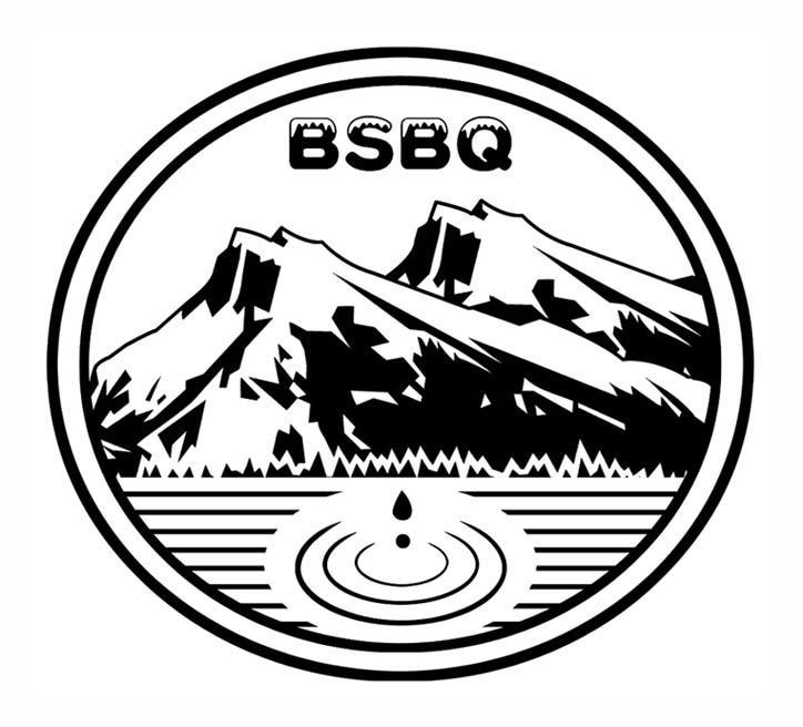 商标名称BSBQ商标注册号 10085560、商标申请人常德市鼎城北山泉水有限公司的商标详情 - 标库网商标查询