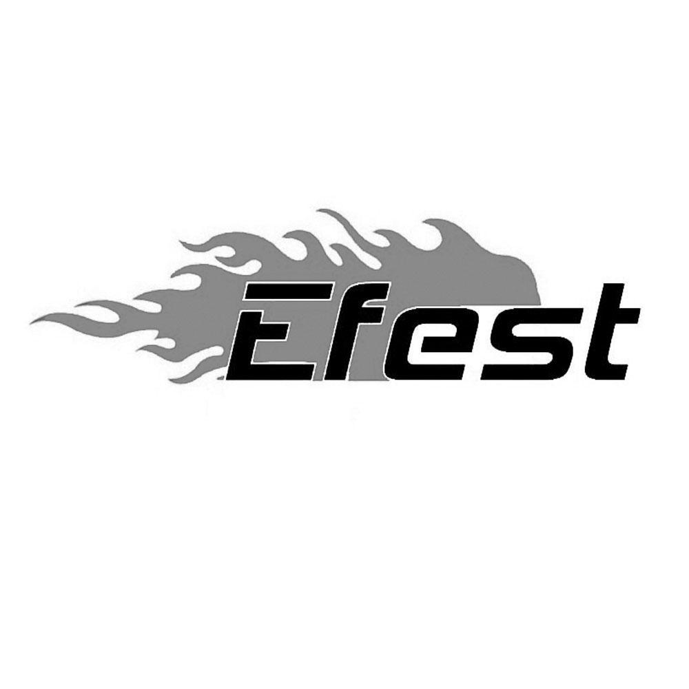 商标名称EFEST商标注册号 10103263、商标申请人深圳费思特科技有限公司的商标详情 - 标库网商标查询