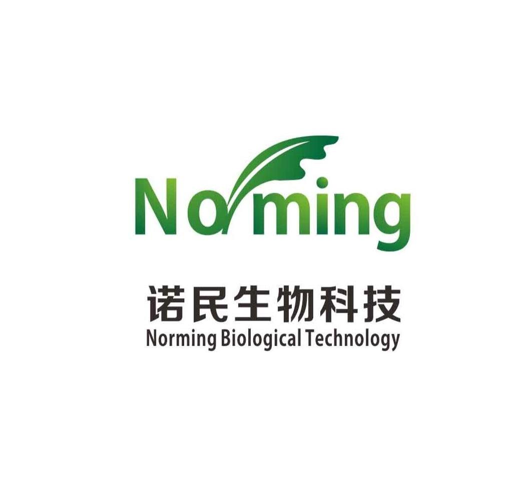 商标名称诺民生物科技 NORMING NORMING BIOLOGICAL TECHNOLOGY商标注册号 12984250、商标申请人杭州诺民生物科技有限公司的商标详情 - 标库网商标查询