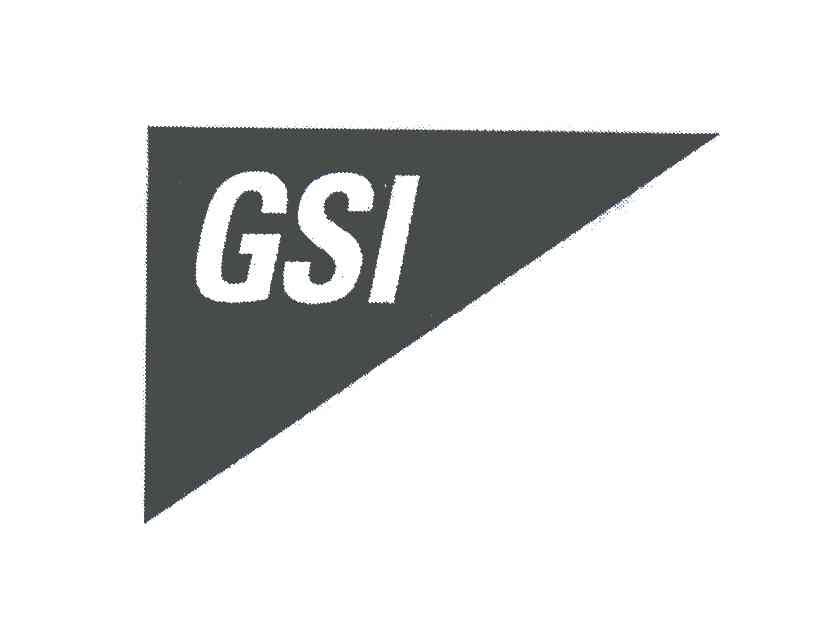 商标名称GSI商标注册号 5416698、商标申请人GSI集团公司的商标详情 - 标库网商标查询