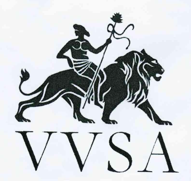 商标名称VVSA商标注册号 10380862、商标申请人封建云的商标详情 - 标库网商标查询