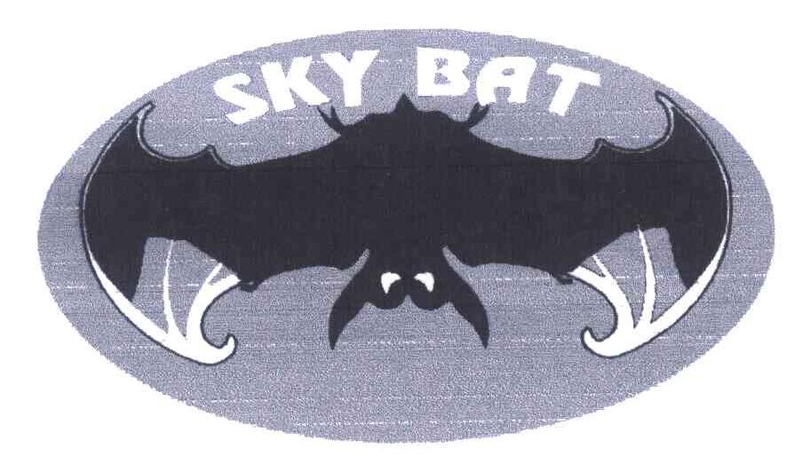 商标名称SKY BAT商标注册号 6868456、商标申请人长沙娴勇进出口贸易有限公司的商标详情 - 标库网商标查询
