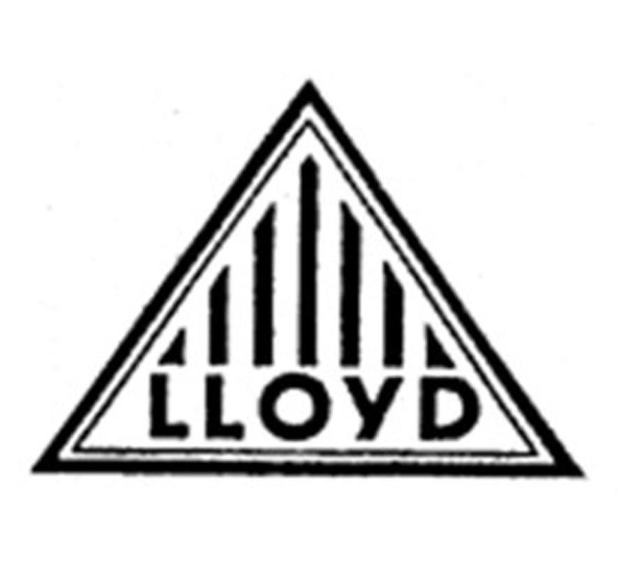 商标名称LLOYD商标注册号 13326096、商标申请人北京宝沃汽车股份有限公司的商标详情 - 标库网商标查询