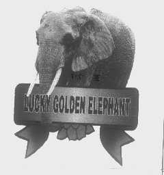 商标名称LUCKY GOLDEN ELEPHANT商标注册号 1376502、商标申请人镇江味佳园食品有限公司的商标详情 - 标库网商标查询