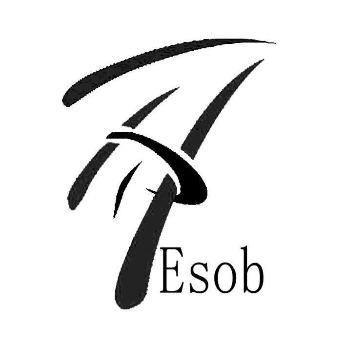 商标名称ESOB商标注册号 10008293、商标申请人深圳市天海青环保科技有限公司的商标详情 - 标库网商标查询
