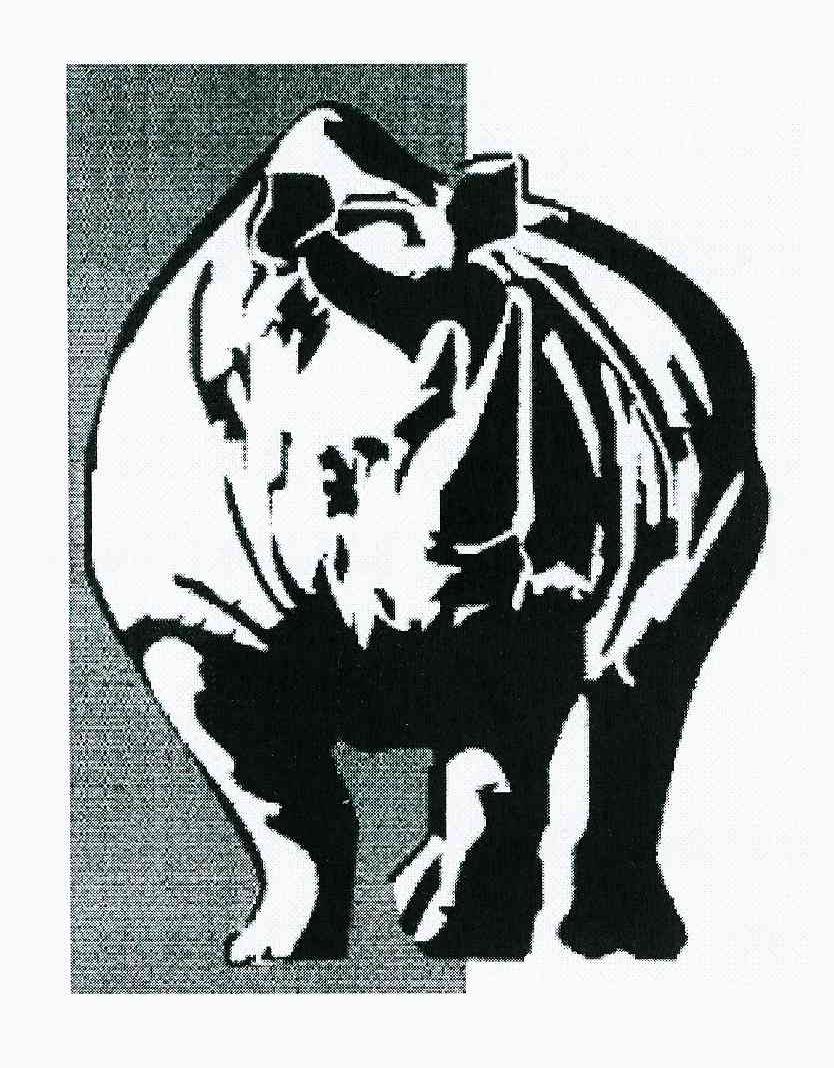 商标名称图形商标注册号 10232970、商标申请人犀牛商业开发有限公司的商标详情 - 标库网商标查询