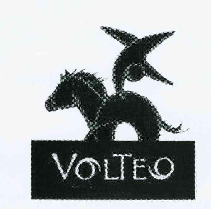 商标名称VOLTEO商标注册号 10105250、商标申请人拉蒙·毕尔巴鄂酒庄公司的商标详情 - 标库网商标查询