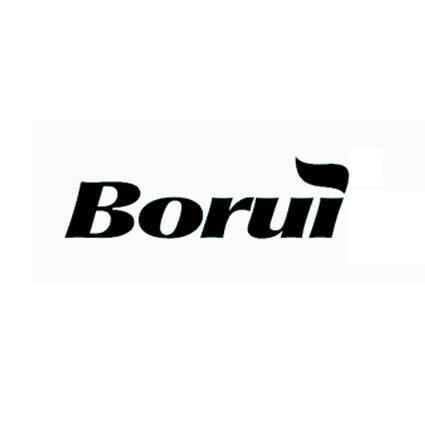 商标名称BORUI商标注册号 10016828、商标申请人长春博瑞科技股份有限公司的商标详情 - 标库网商标查询