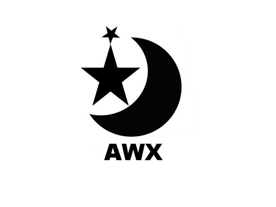 商标名称AWX商标注册号 14501003、商标申请人内蒙古爱晚新商贸有限公司的商标详情 - 标库网商标查询
