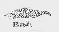 商标名称PANGOLIN商标注册号 1094263、商标申请人石狮市兴盛五金塑料有限公司的商标详情 - 标库网商标查询