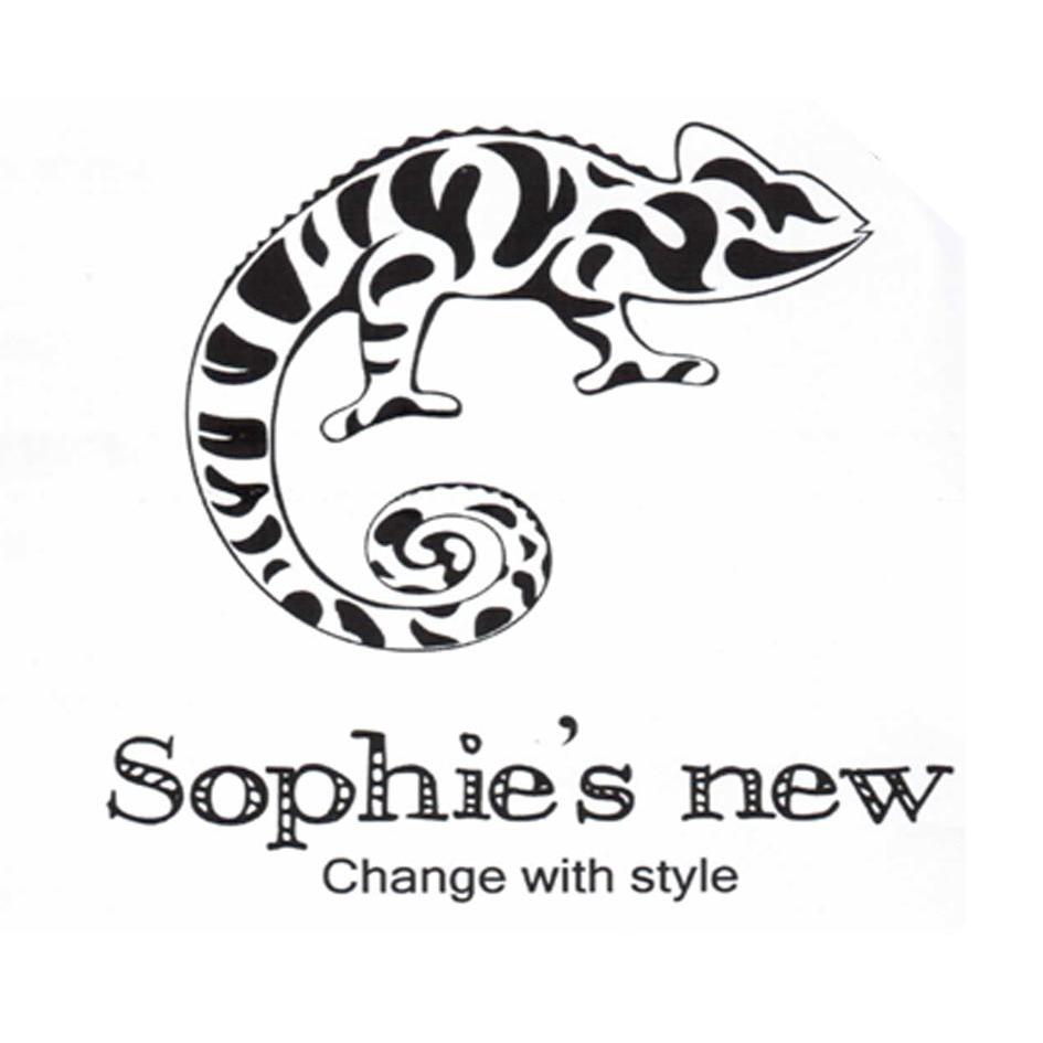 商标名称SOPHIE'S NEW CHANGE WITH STYLE商标注册号 11158639、商标申请人上海三问国际贸易有限公司的商标详情 - 标库网商标查询