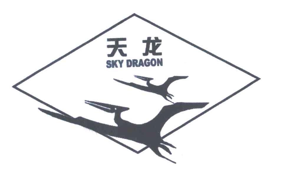 商标名称天龙;SKY DRAGON商标注册号 3409633、商标申请人上海新润商行的商标详情 - 标库网商标查询