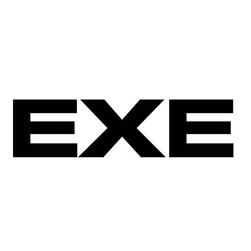 EXE