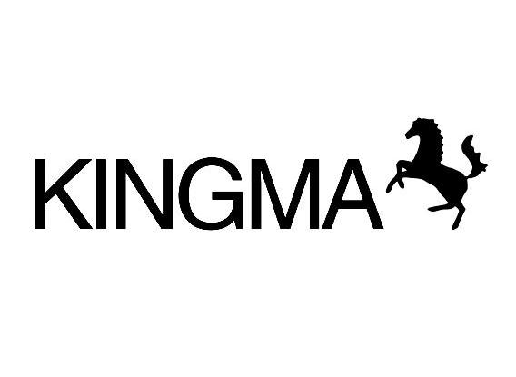 商标名称KINGMA商标注册号 10517004、商标申请人华辉科技（中国）有限公司的商标详情 - 标库网商标查询
