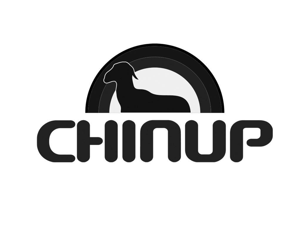 商标名称CHINUP商标注册号 11540111、商标申请人陕西美恩乳业股份有限公司的商标详情 - 标库网商标查询
