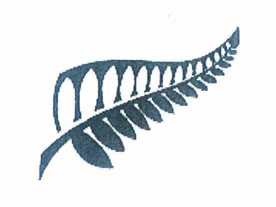 商标名称图形商标注册号 10115192、商标申请人新西兰道路有限公司的商标详情 - 标库网商标查询