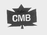 商标名称CMB商标注册号 1216720、商标申请人加拿大水貂培养协会的商标详情 - 标库网商标查询