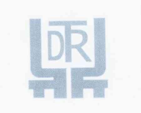 商标名称DTR商标注册号 12038613、商标申请人徐洋的商标详情 - 标库网商标查询