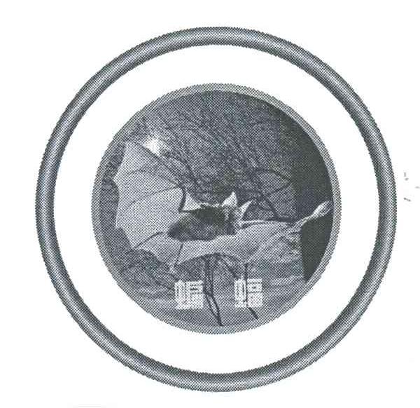 商标名称蝙蝠商标注册号 1928206、商标申请人益群木业（嘉善）有限公司的商标详情 - 标库网商标查询