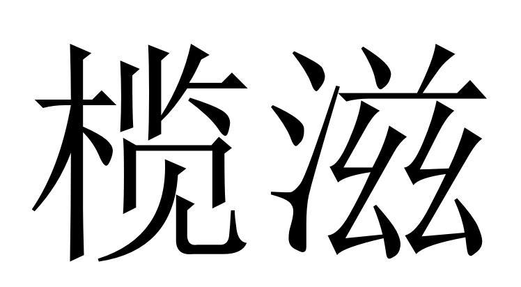 商标文字榄滋,商标申请人上海乐呼医学工程集团有限公