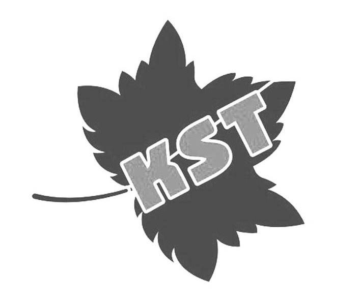 商标名称KST商标注册号 13044358、商标申请人东莞市科思特化工有限公司的商标详情 - 标库网商标查询