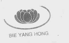 商标名称BIE YANG HONG商标注册号 1295675、商标申请人山西龙兴饮品有限公司的商标详情 - 标库网商标查询