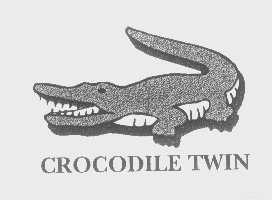 商标名称CROCODILETWIN商标注册号 1394803、商标申请人鳄鱼恤有限公司的商标详情 - 标库网商标查询