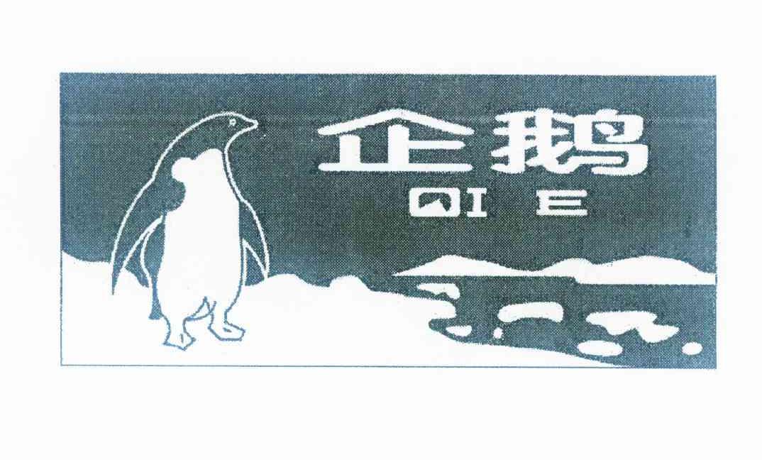 商标名称企鹅商标注册号 11331283、商标申请人上海友谊企业有限公司的商标详情 - 标库网商标查询