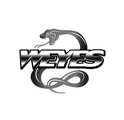 商标名称WEYES商标注册号 13339720、商标申请人深圳市凌泰微科技有限公司的商标详情 - 标库网商标查询