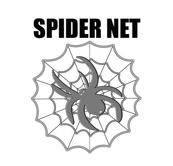 商标名称SPIDER NET商标注册号 7977488、商标申请人宁波海曙国成艺术精雕有限公司的商标详情 - 标库网商标查询