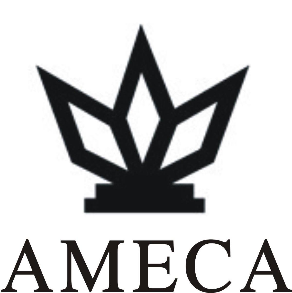商标名称AMECA商标注册号 11313308、商标申请人中山市高通电器有限公司的商标详情 - 标库网商标查询