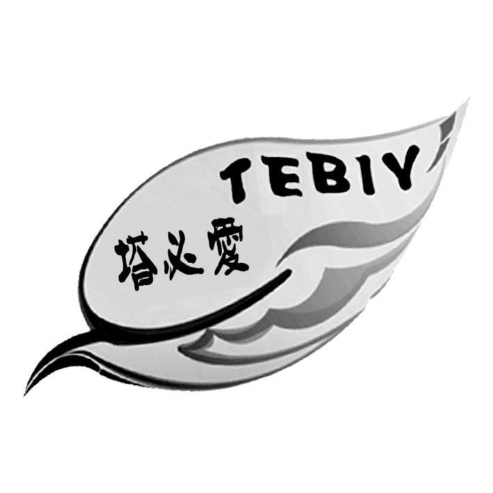 商标名称塔必爱 TEBIY商标注册号 10404693、商标申请人新疆依提发克进出口贸易有限公司的商标详情 - 标库网商标查询