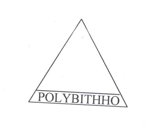 商标名称POLYBITHHO商标注册号 1989446、商标申请人深圳市保利安防水材料技术开发有限公司的商标详情 - 标库网商标查询