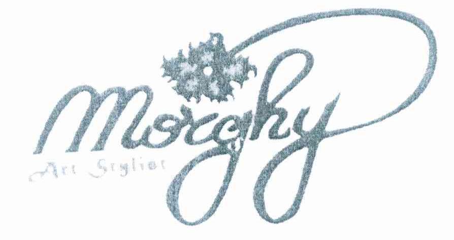 商标名称MORGHY ART STYLIST商标注册号 10124908、商标申请人孙恩光AR的商标详情 - 标库网商标查询