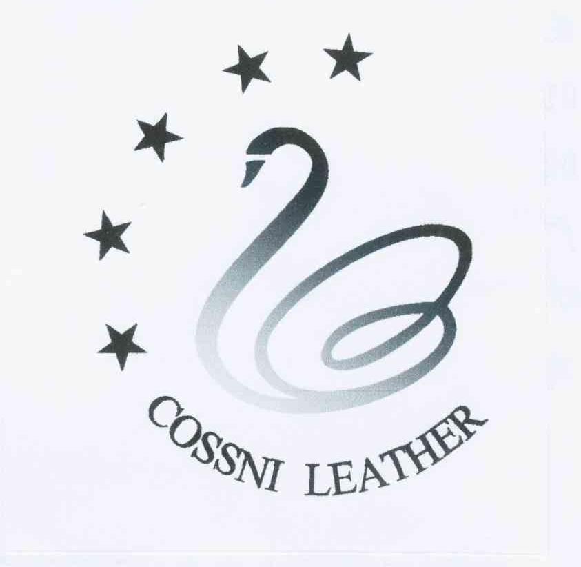 商标名称COSSNI LEATHER商标注册号 10772144、商标申请人梁武的商标详情 - 标库网商标查询