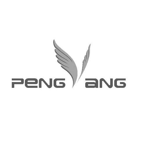 商标名称PENG YANG商标注册号 10948210、商标申请人杭州朋扬科技有限公司的商标详情 - 标库网商标查询
