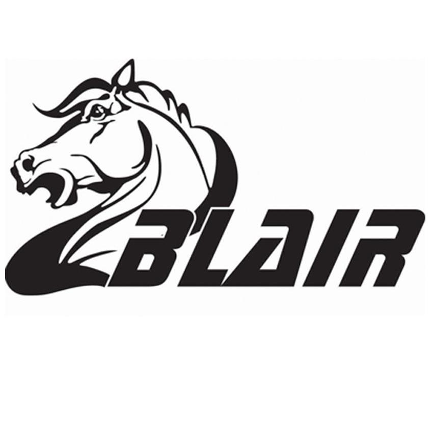 商标名称BLAIR商标注册号 11488665、商标申请人上海知友实业有限公司的商标详情 - 标库网商标查询