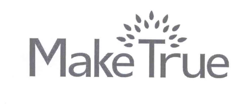 商标名称MAKE TRUE商标注册号 13489788、商标申请人初巧斌的商标详情 - 标库网商标查询