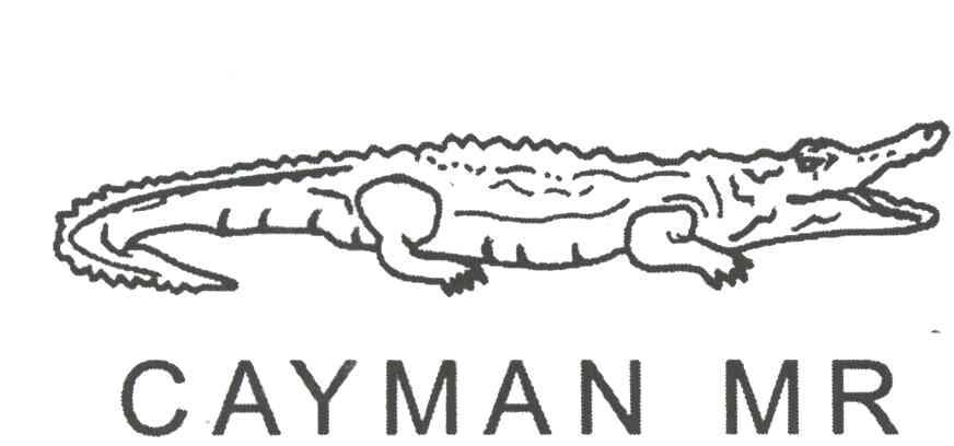 商标名称CAYMAN MR商标注册号 1986336、商标申请人泉州伟成五金有限公司的商标详情 - 标库网商标查询