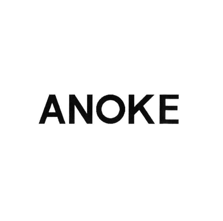 商标名称ANOKE商标注册号 10121933、商标申请人上海安诺其集团股份有限公司的商标详情 - 标库网商标查询