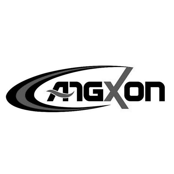 商标名称ANGXON商标注册号 8121580、商标申请人北京艾格森石油化工有限公司的商标详情 - 标库网商标查询