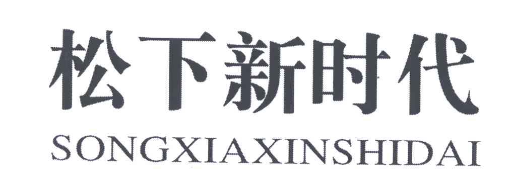 商标文字松下新时代商标注册号 4732077,商标申请人高振涛